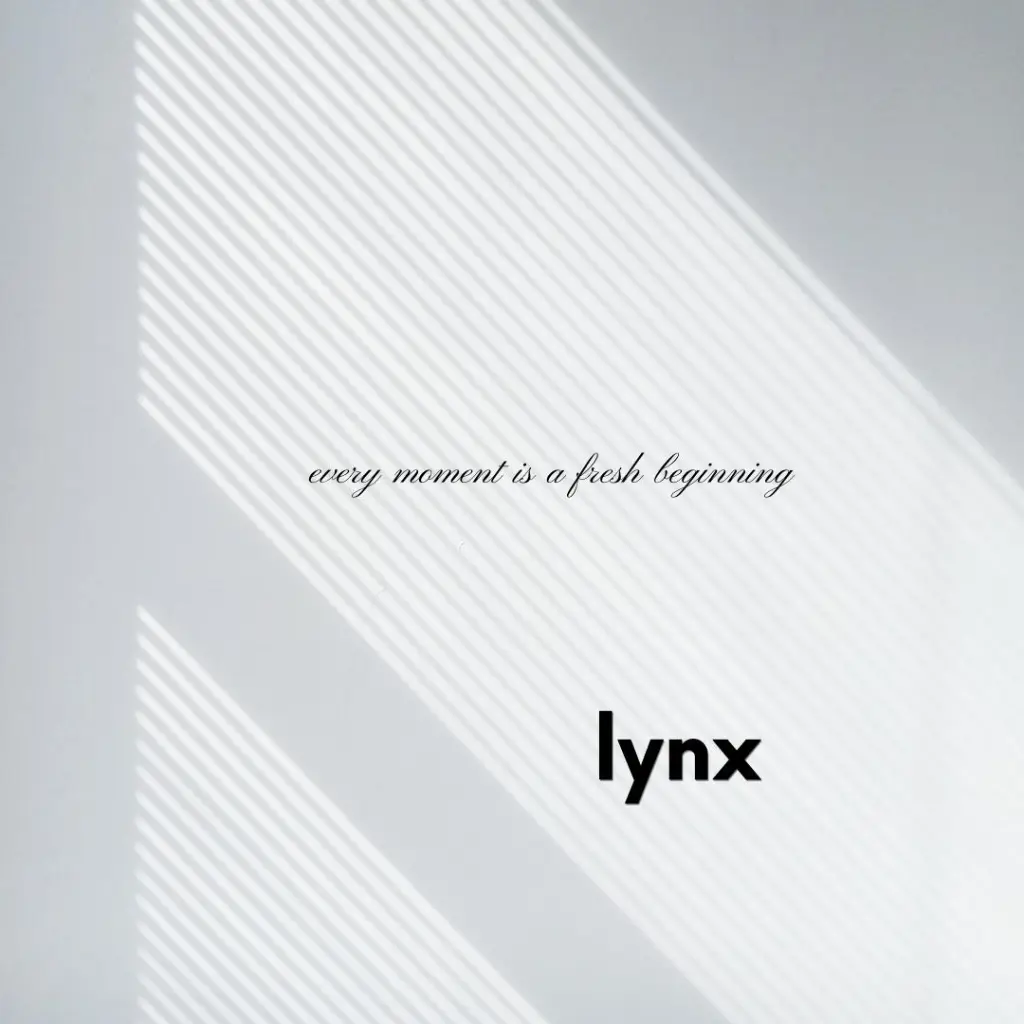 lynx minimal.webp