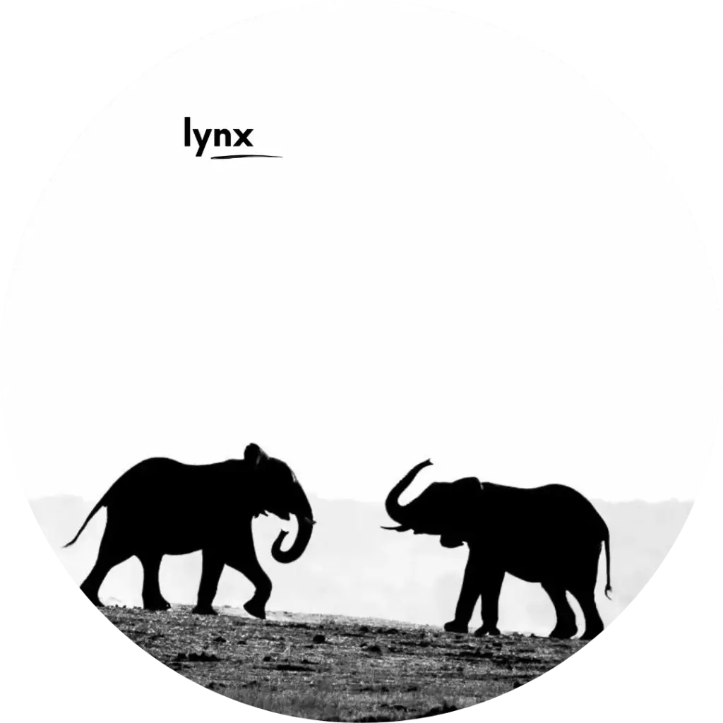 "Pro" - lynx success pack